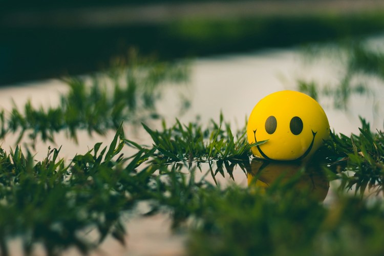 Mitarbeitermotivation in Frankreich ohne Gehaltserhöhung: So nutzen Sie Sozialleistungen clever